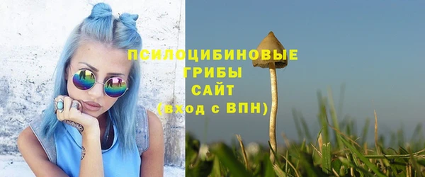 бошки Нея