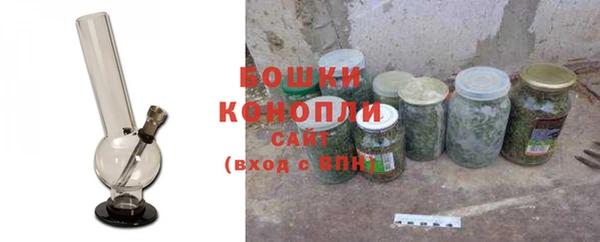 первитин Новозыбков