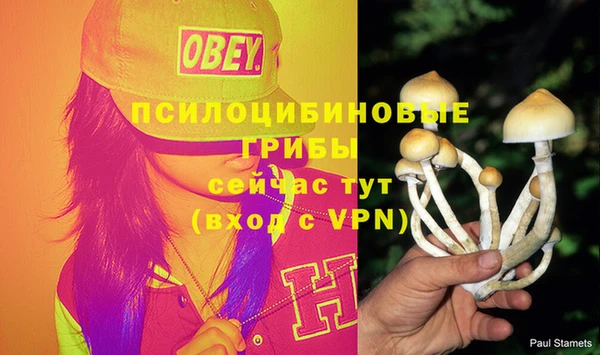 первитин Новозыбков