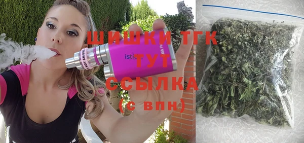 молекула духа Новокубанск