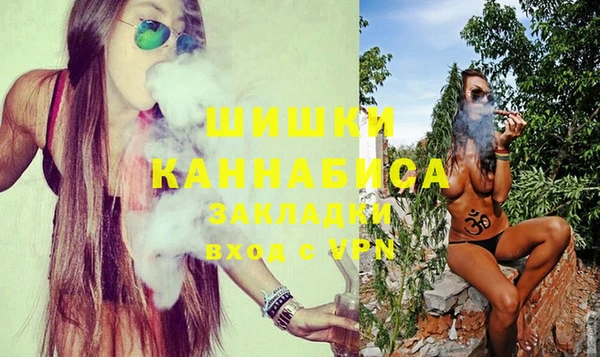 первитин Новозыбков