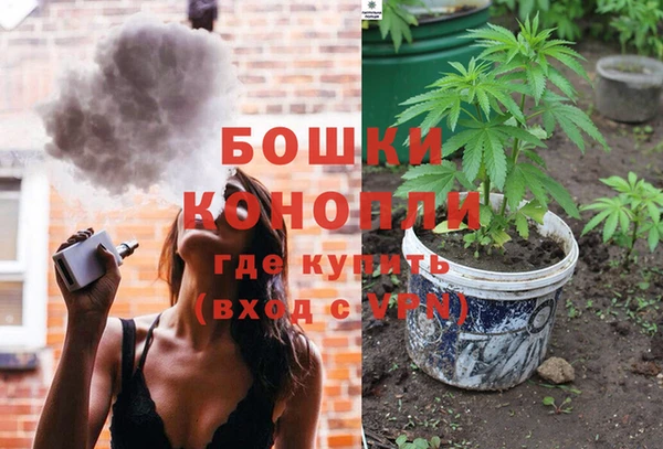 молекула духа Новокубанск