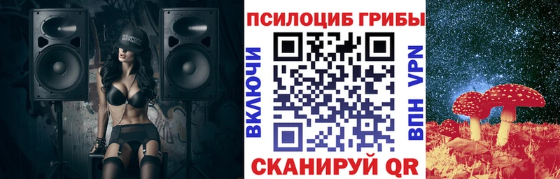 ссылка на мегу tor Арск Псилоцибиновые грибы Psilocybe как найти
